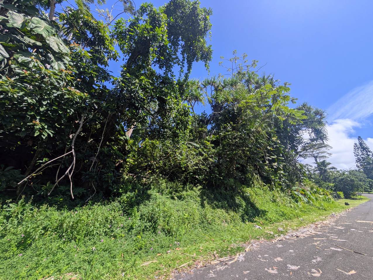 15-179 Puni Lani Loop - Photo 1