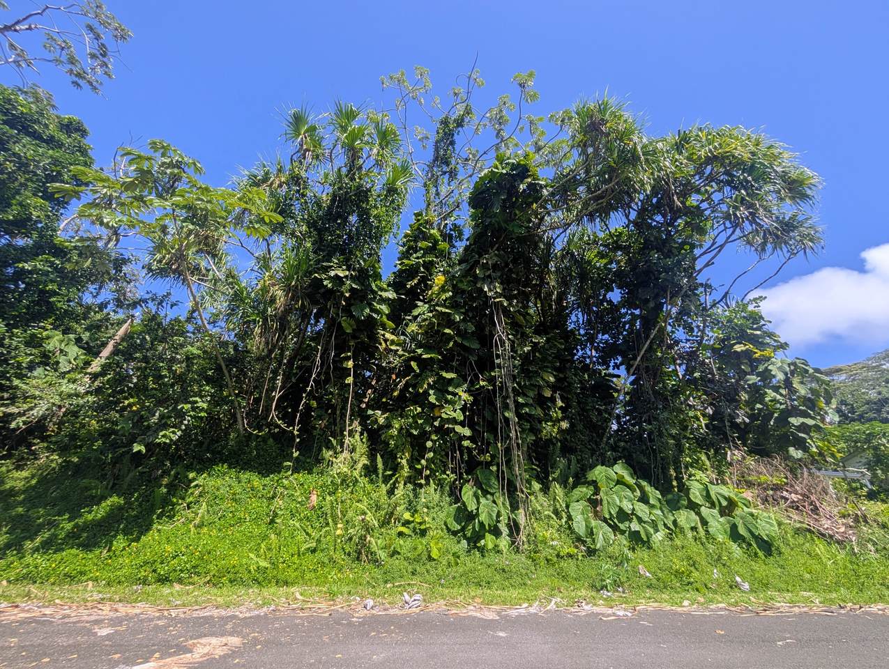 https://bt-photos.global.ssl.fastly.net/hawaii/1280_boomver_1_731164-1.jpg