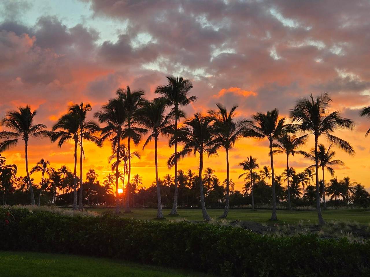 https://bt-photos.global.ssl.fastly.net/hawaii/1280_boomver_1_731225-1.jpg