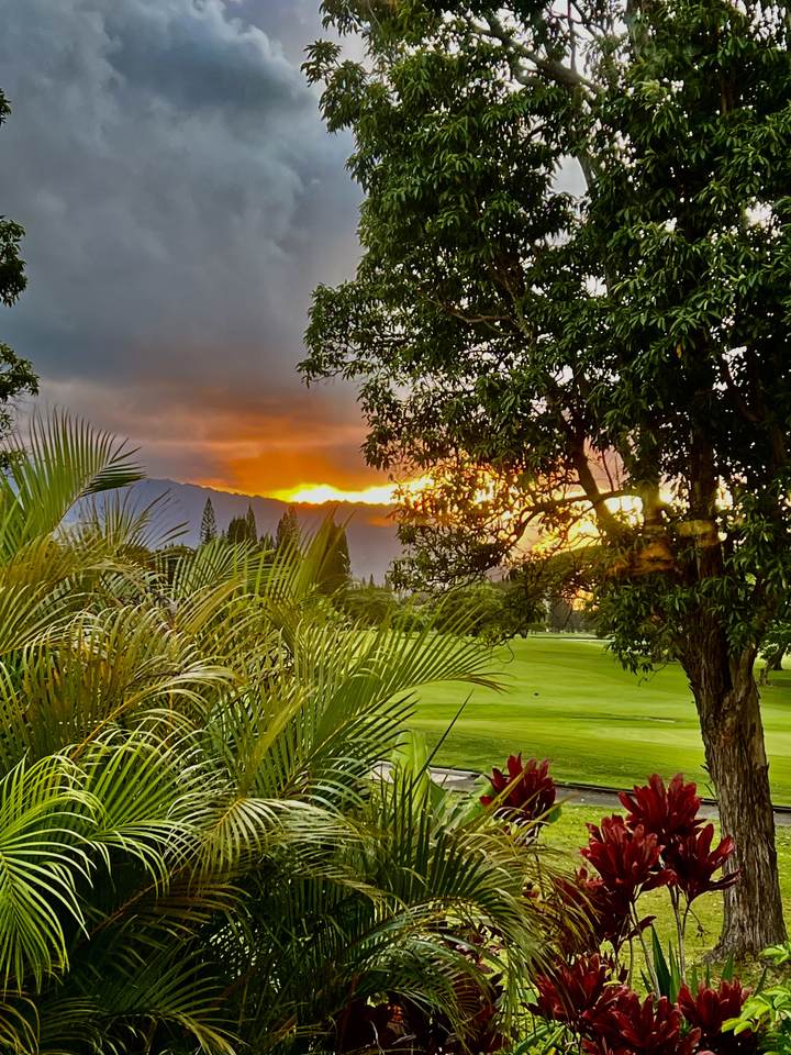 https://bt-photos.global.ssl.fastly.net/hawaii/1280_boomver_1_731275-1.jpg