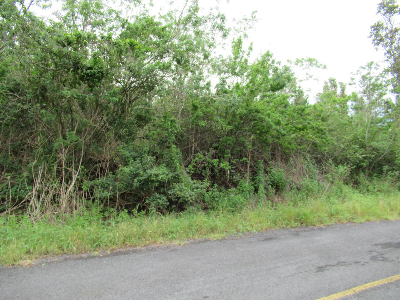 https://bt-photos.global.ssl.fastly.net/hawaii/1280_boomver_1_731347-1.jpg