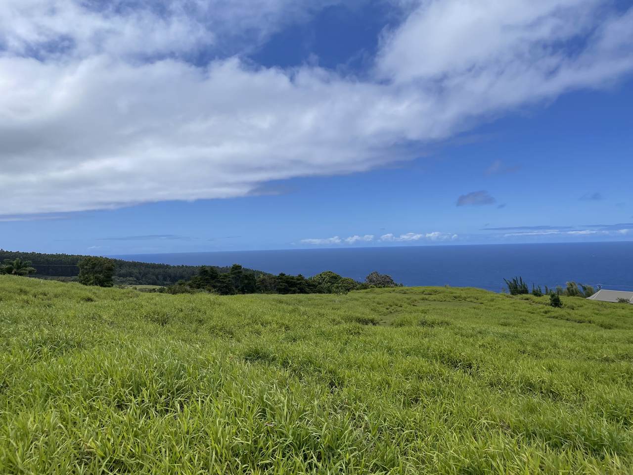  Kamalani Rd - Photo 1
