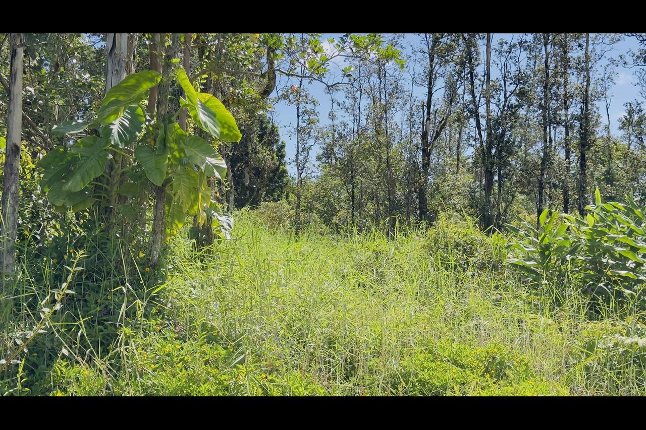  Uilani Dr - Photo 1