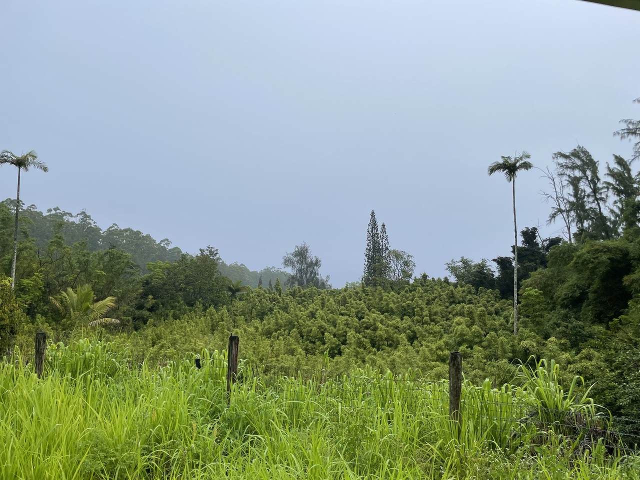 39-3342 Hana Ika Luna Camp Rd - Photo 1