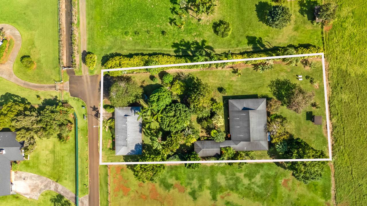 6161 Holio Rd - Photo 1