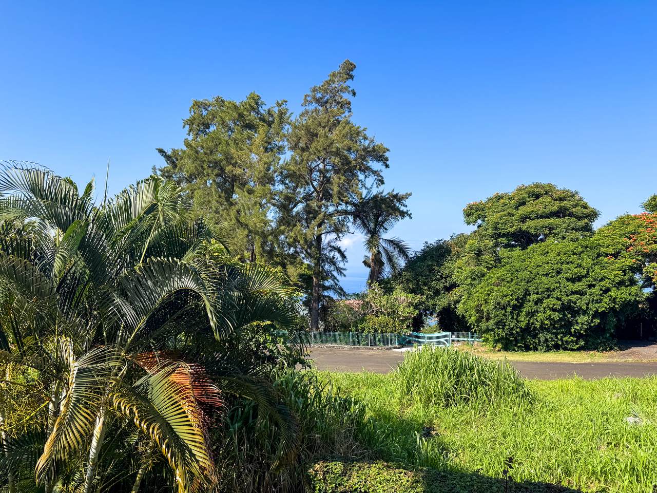 82-6065 Mamalahoa Hwy - Photo 1