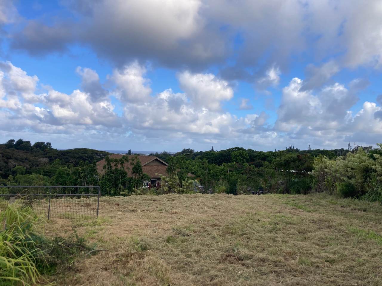  Kahana St - Photo 1