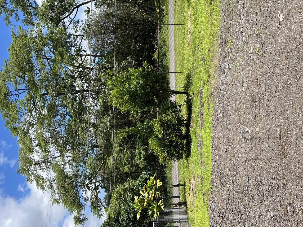 https://bt-photos.global.ssl.fastly.net/hawaii/1280_boomver_1_731559-1.jpg