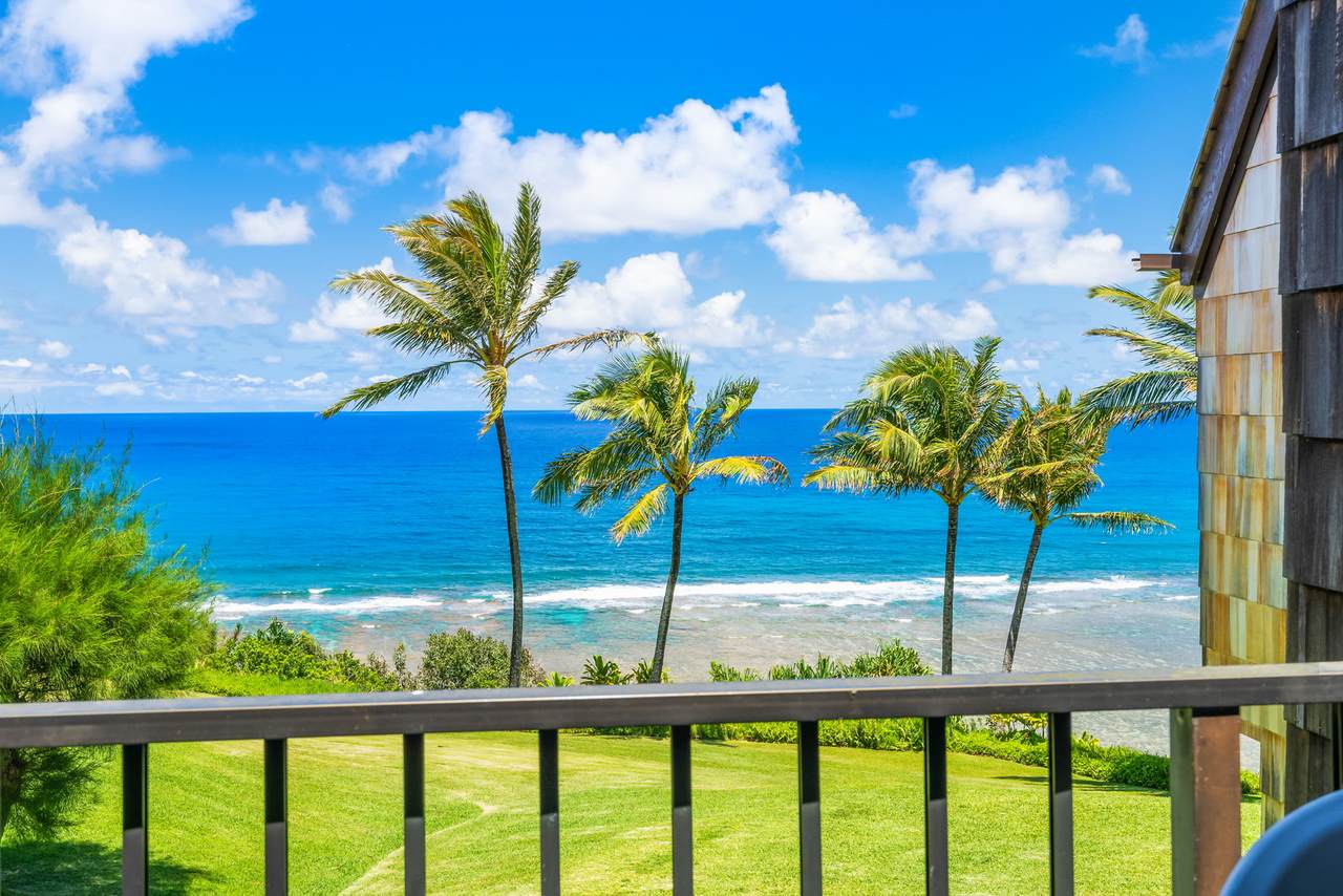 3700 Kamehameha Rd - Photo 1