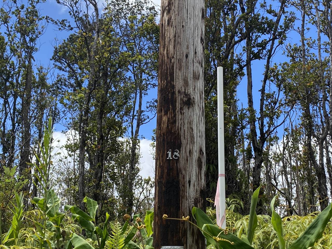 https://bt-photos.global.ssl.fastly.net/hawaii/1280_boomver_1_731701-1.jpg
