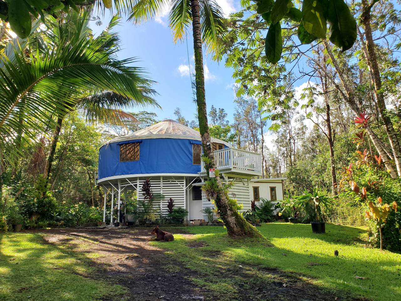 12-4304 Hilo Street - Photo 1