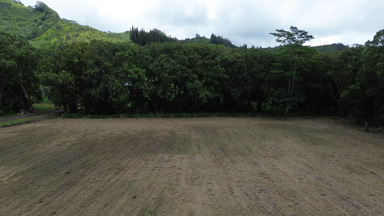 https://bt-photos.global.ssl.fastly.net/hawaii/1280_boomver_1_731881-1.jpg