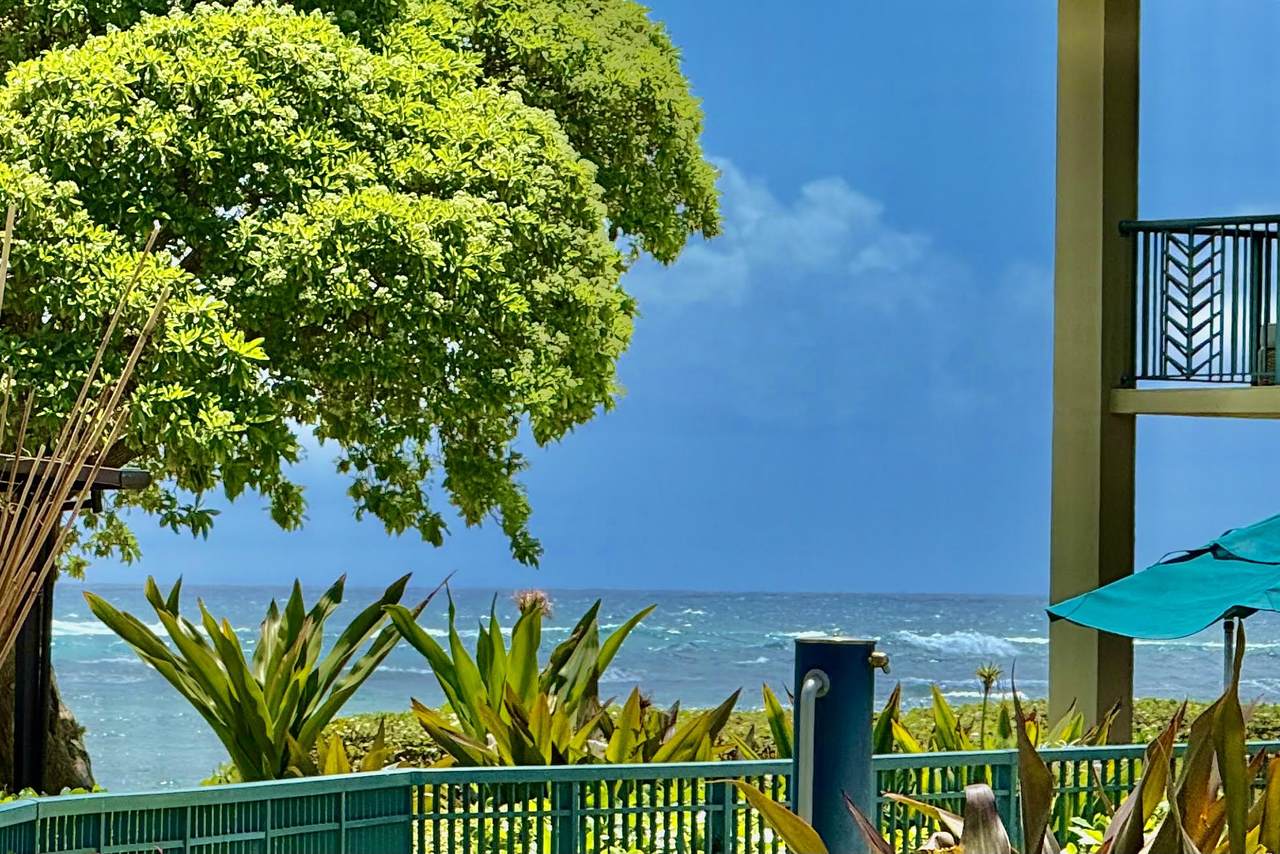 https://bt-photos.global.ssl.fastly.net/hawaii/orig_boomver_1_731897-1.jpg