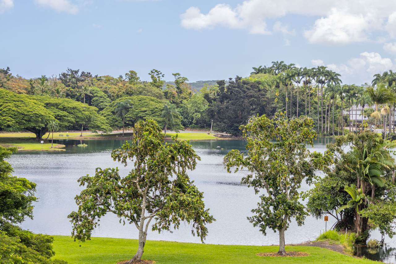 101 Hilo Lagoon Centre - Photo 1