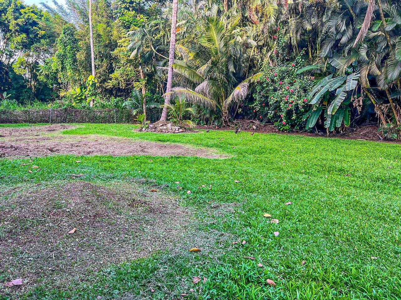 https://bt-photos.global.ssl.fastly.net/hawaii/1280_boomver_1_732058-1.jpg