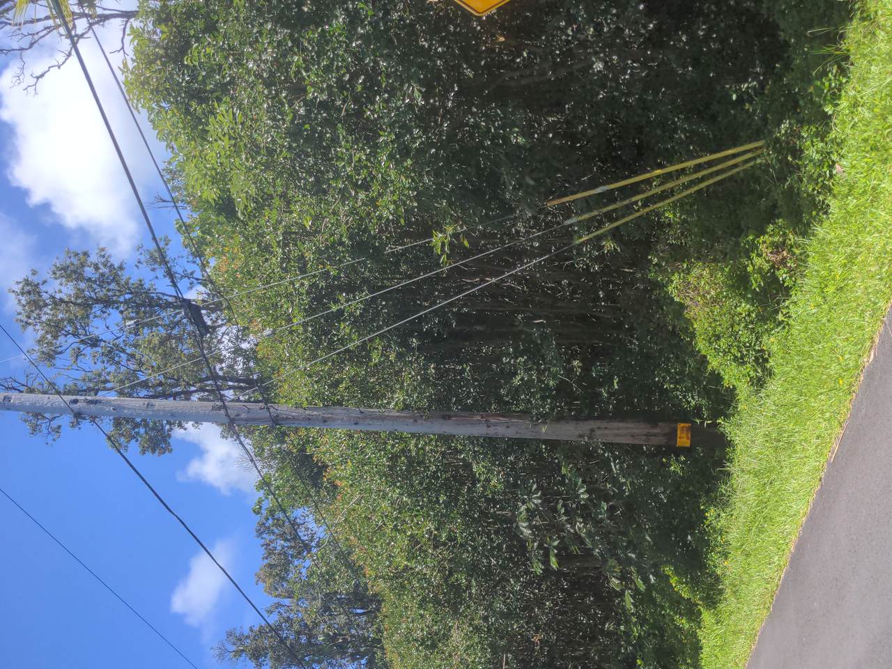 https://bt-photos.global.ssl.fastly.net/hawaii/1280_boomver_1_732190-1.jpg