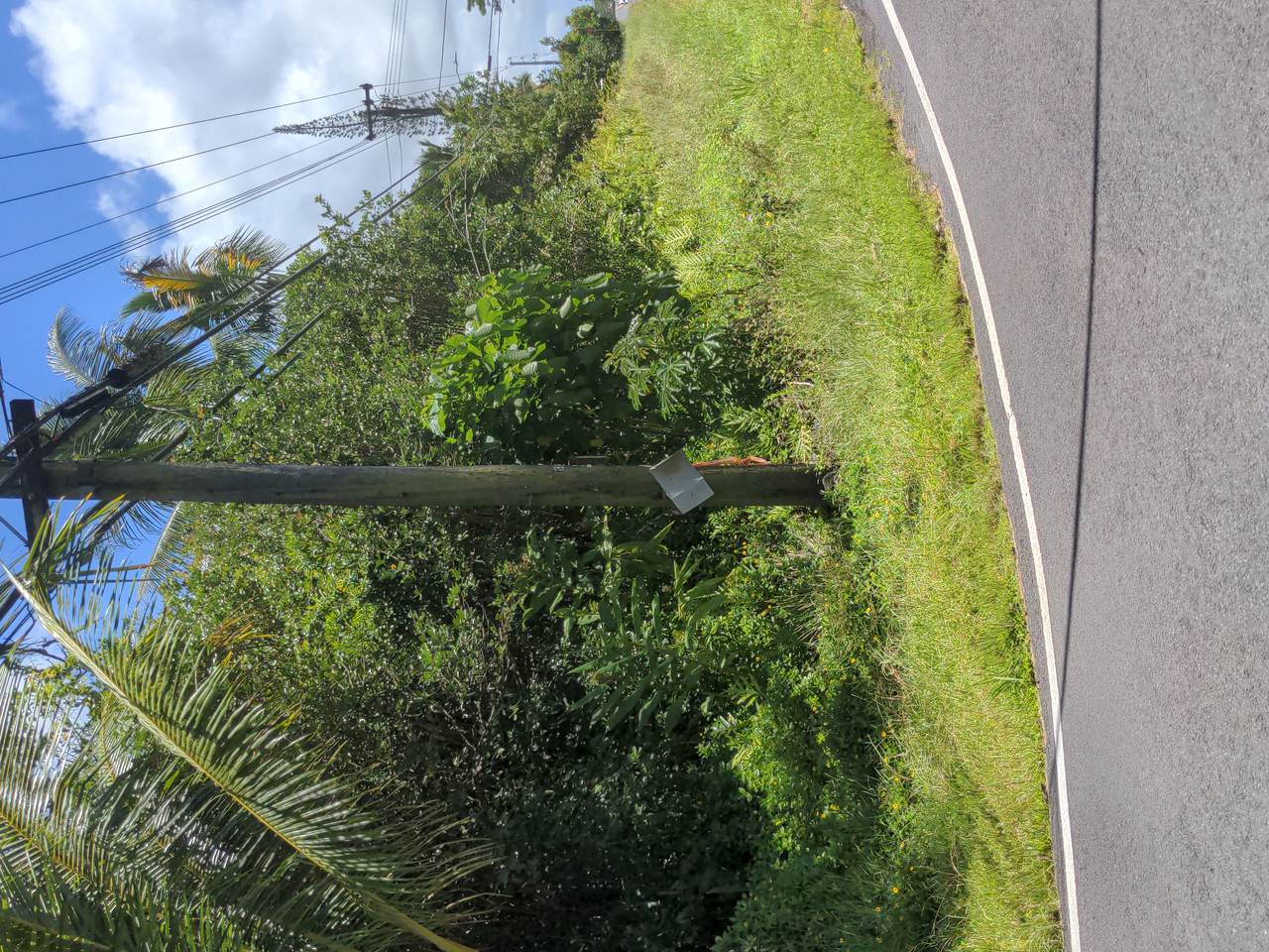 https://bt-photos.global.ssl.fastly.net/hawaii/1280_boomver_1_732190-1.jpg
