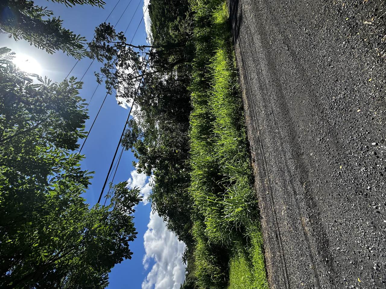 13TH AVE - Photo 1