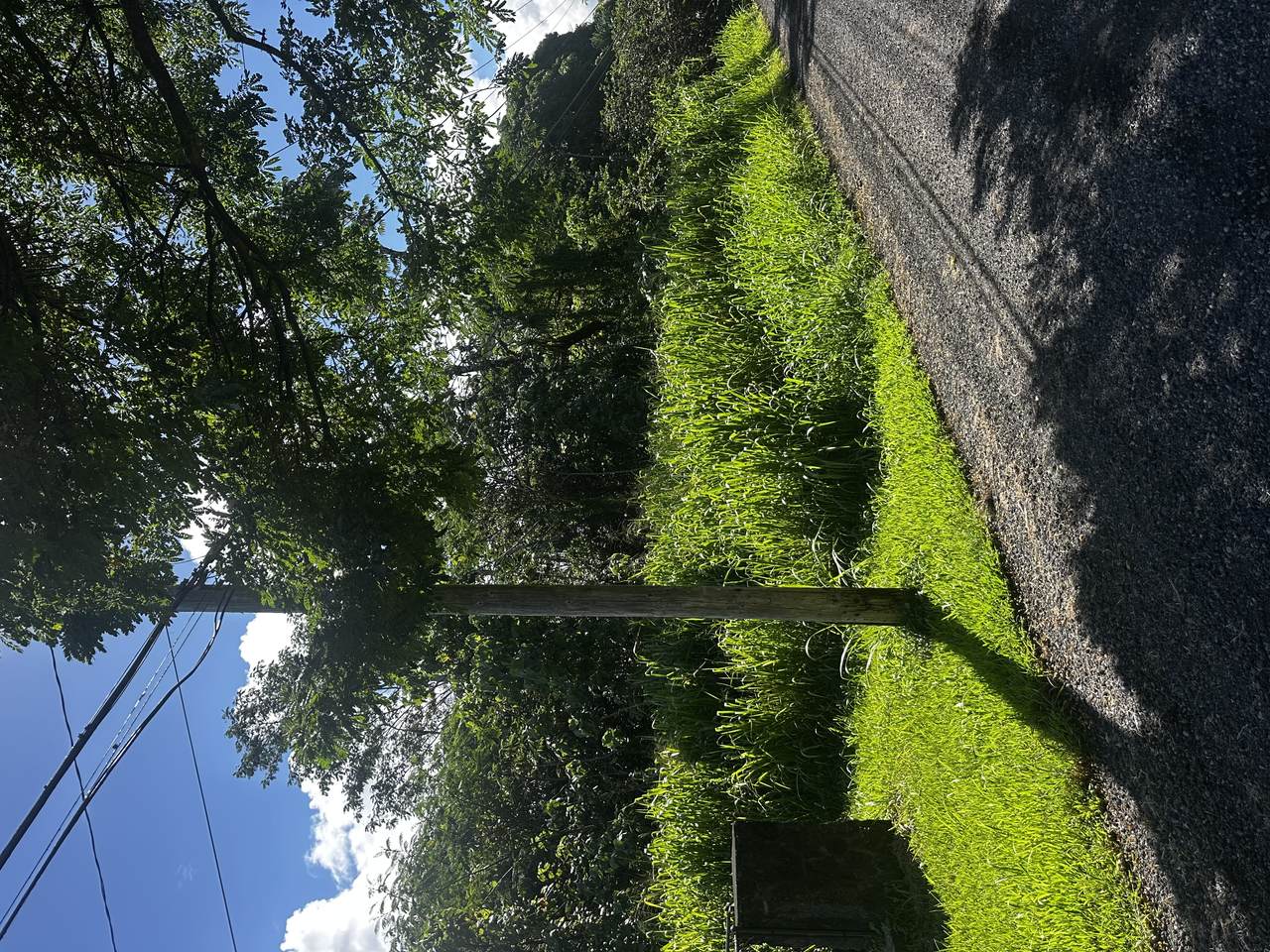 https://bt-photos.global.ssl.fastly.net/hawaii/1280_boomver_1_732223-1.jpg
