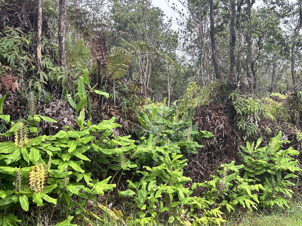 https://bt-photos.global.ssl.fastly.net/hawaii/1280_boomver_1_732450-1.jpg