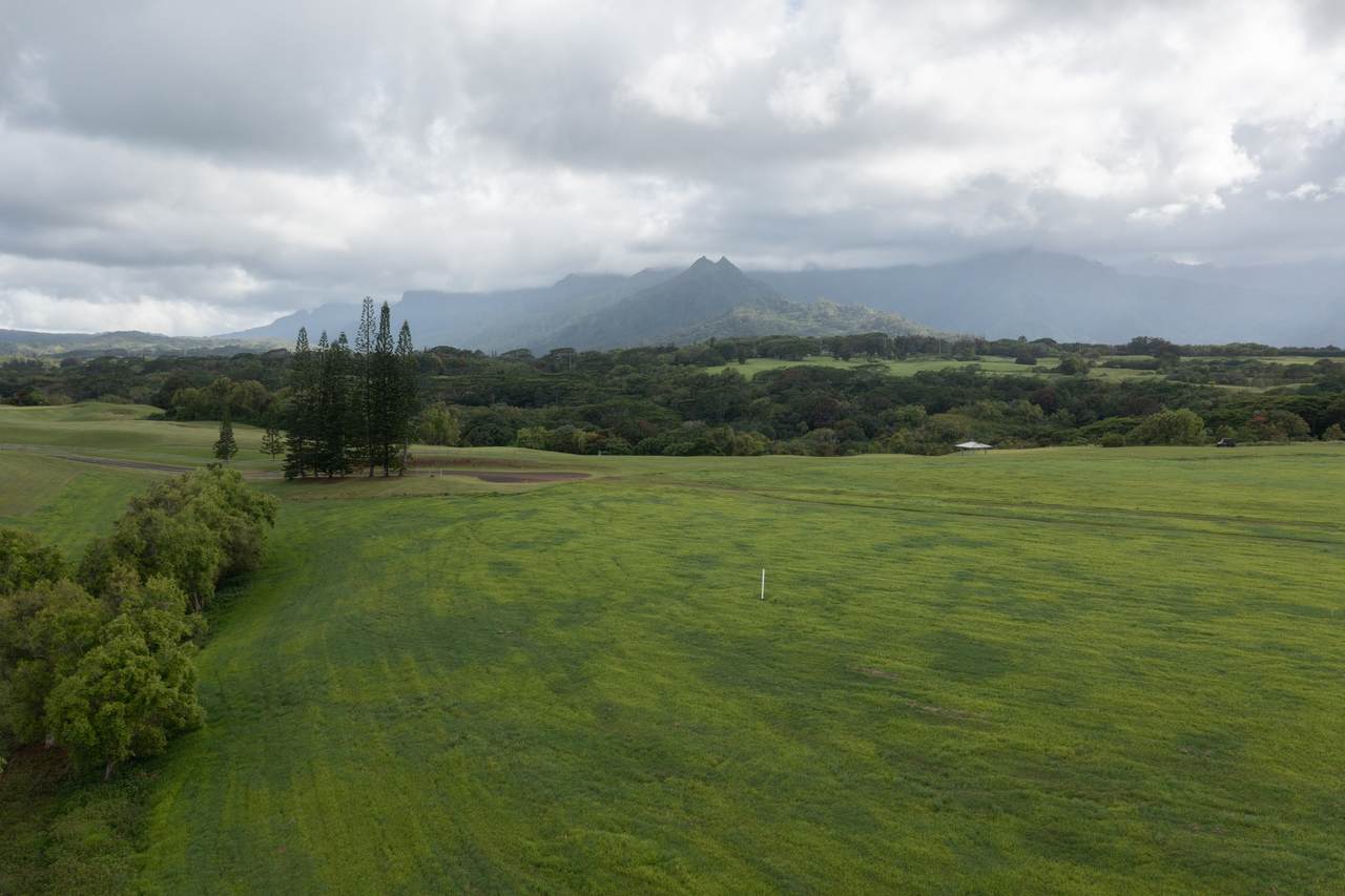 4143 Hihimanu Rd - Photo 1