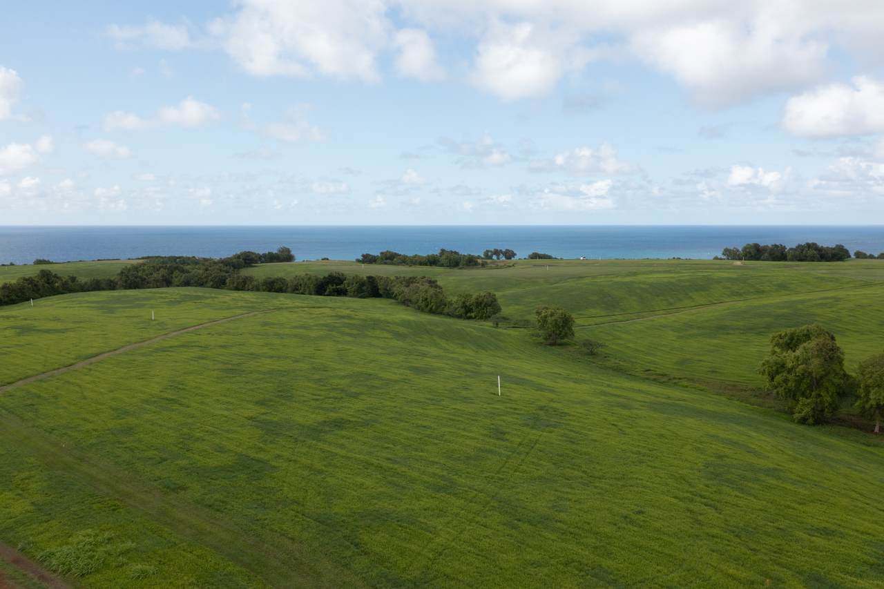 https://bt-photos.global.ssl.fastly.net/hawaii/1280_boomver_1_732585-1.jpg