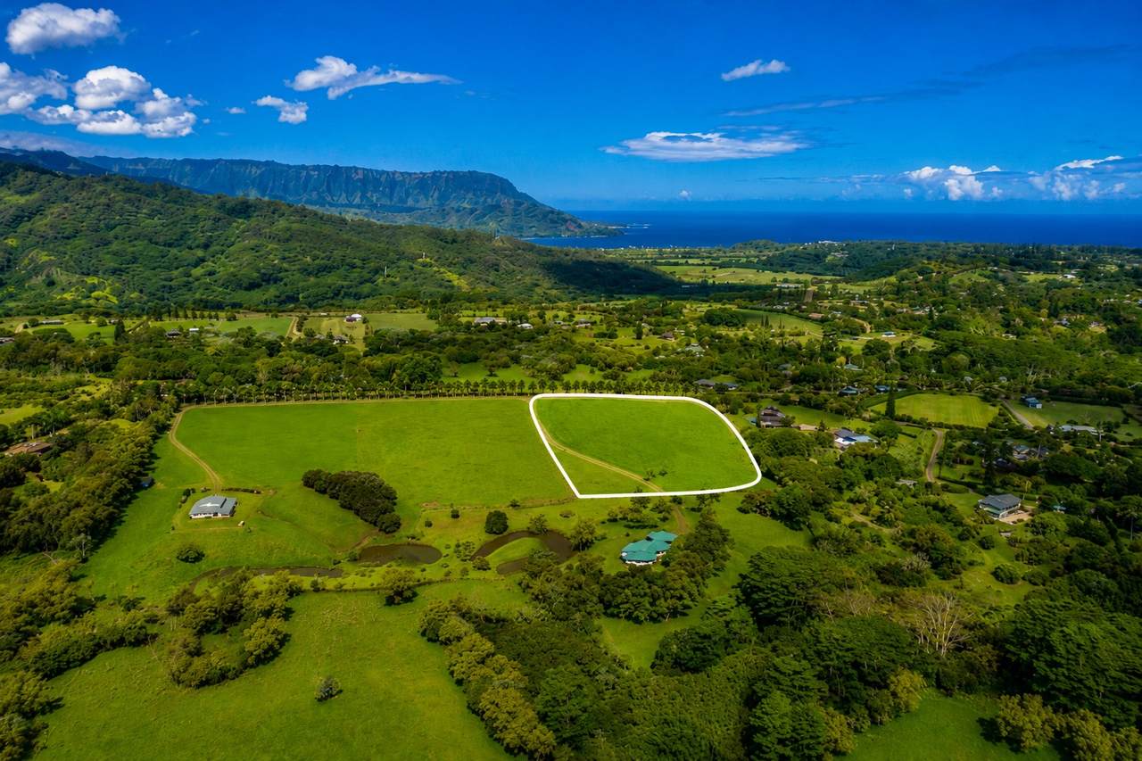 3794 Ahonui Pl - Photo 1