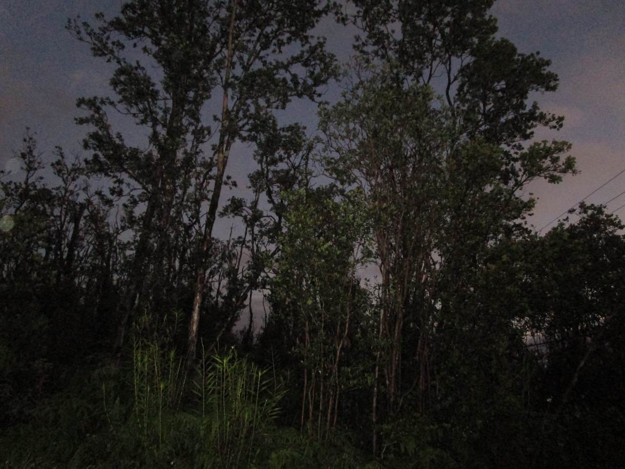  Noe Kuahiwi Rd - Photo 1