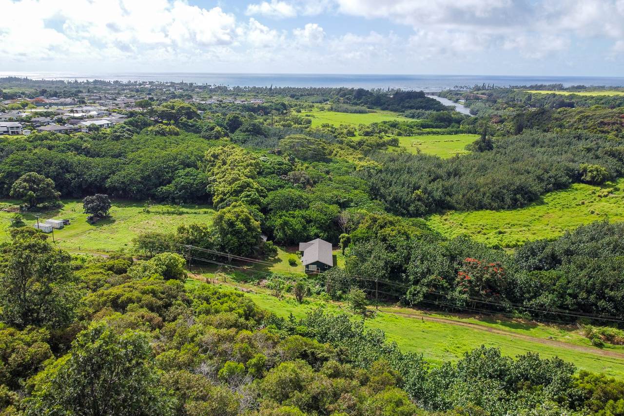 5310 Nonou Rd - Photo 1