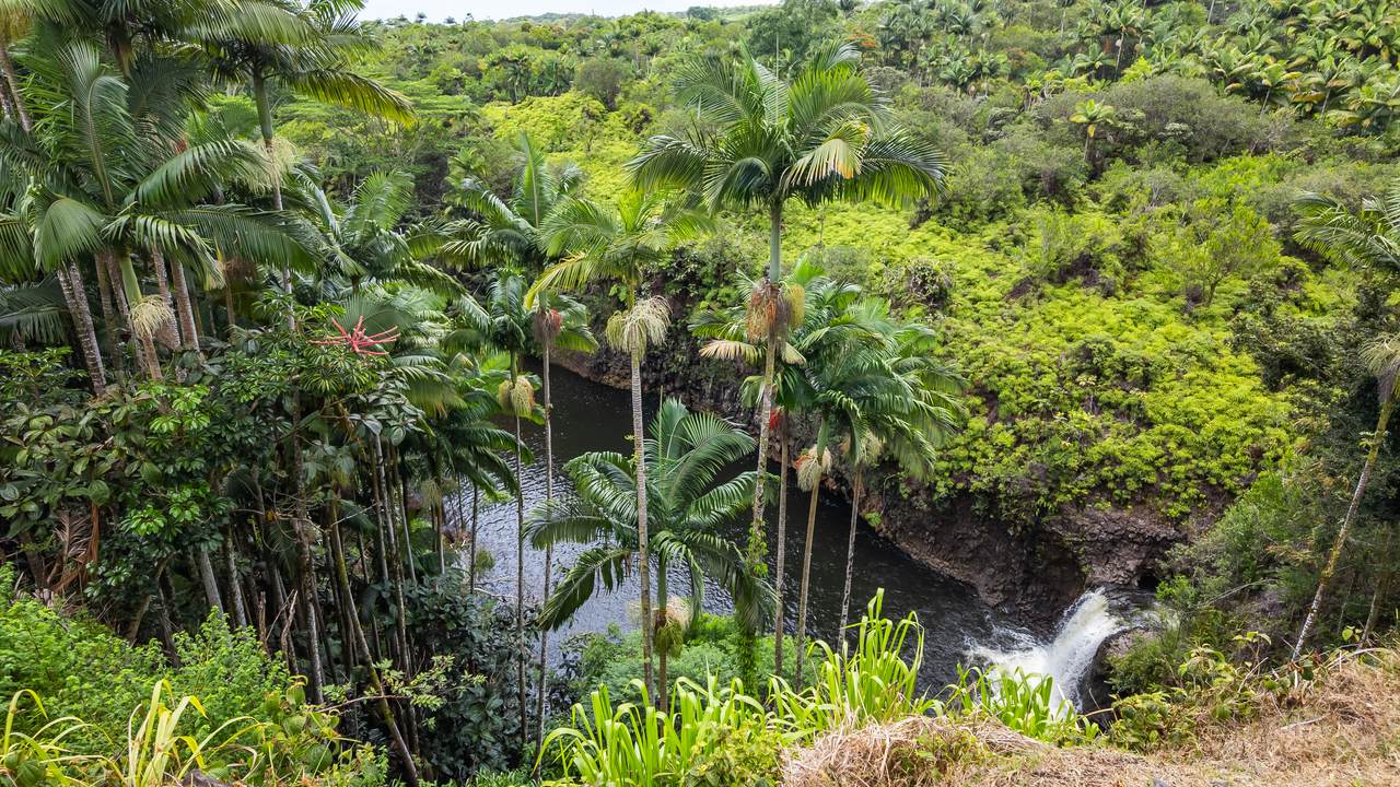 https://bt-photos.global.ssl.fastly.net/hawaii/1280_boomver_1_732939-1.jpg