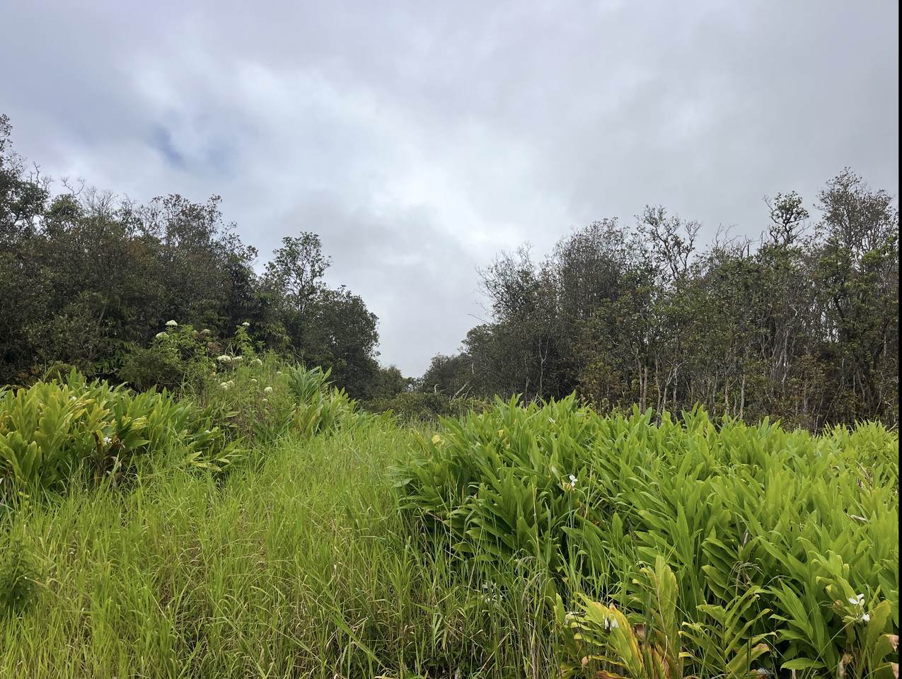 https://bt-photos.global.ssl.fastly.net/hawaii/1280_boomver_1_732984-1.jpg