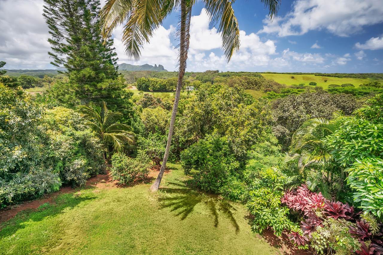 https://bt-photos.global.ssl.fastly.net/hawaii/1280_boomver_1_732993-1.jpg