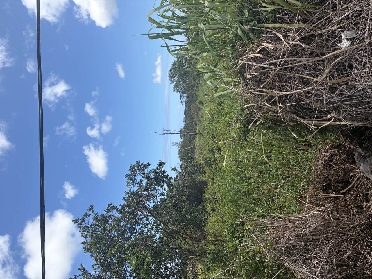 https://bt-photos.global.ssl.fastly.net/hawaii/1280_boomver_1_733019-1.jpg
