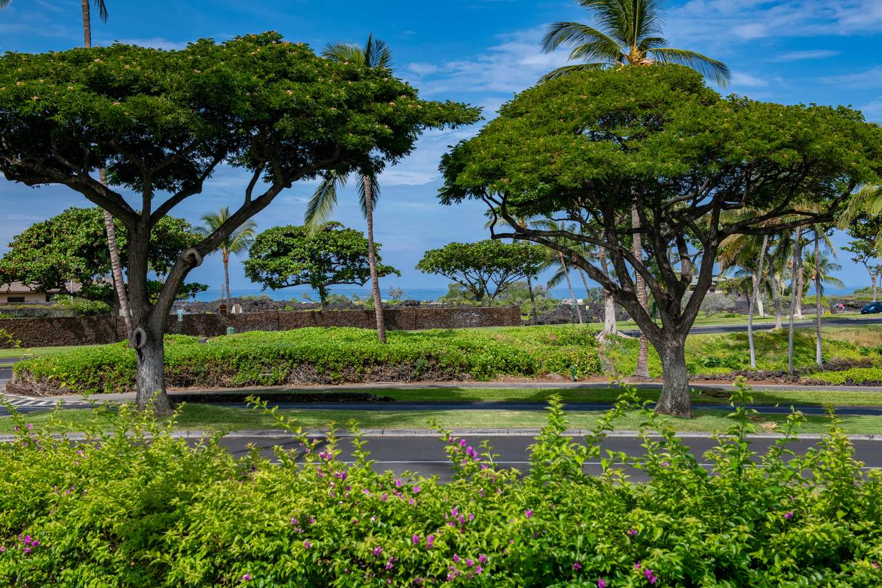 https://bt-photos.global.ssl.fastly.net/hawaii/1280_boomver_1_733032-1.jpg