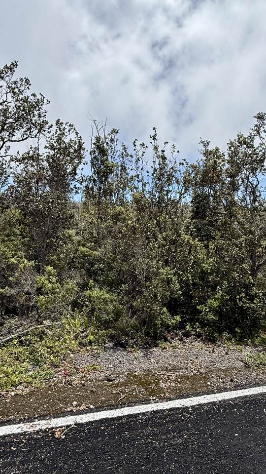 https://bt-photos.global.ssl.fastly.net/hawaii/1280_boomver_1_733298-1.jpg