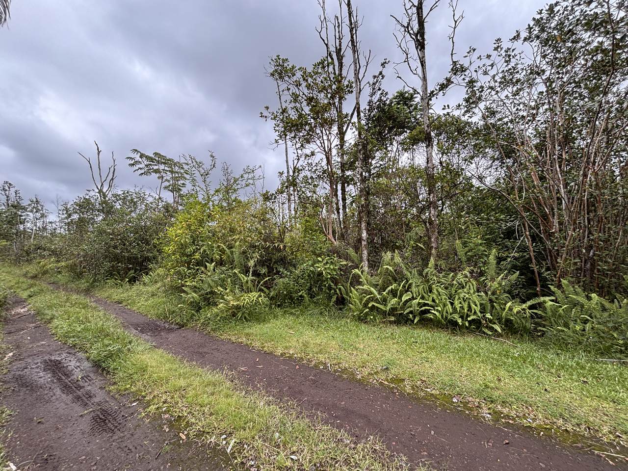  King Kamehameha Blvd - Photo 1