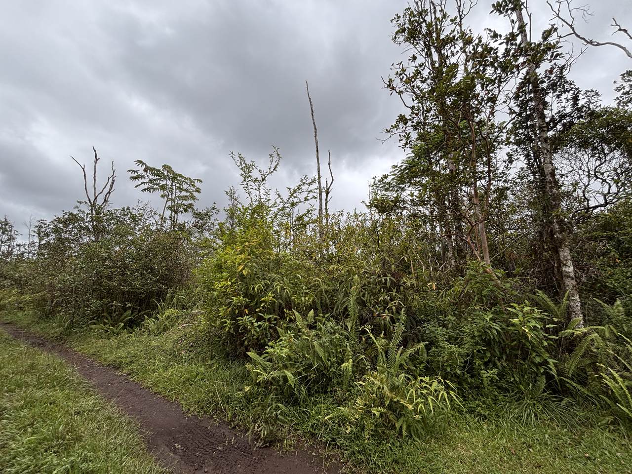 https://bt-photos.global.ssl.fastly.net/hawaii/1280_boomver_1_733315-1.jpg