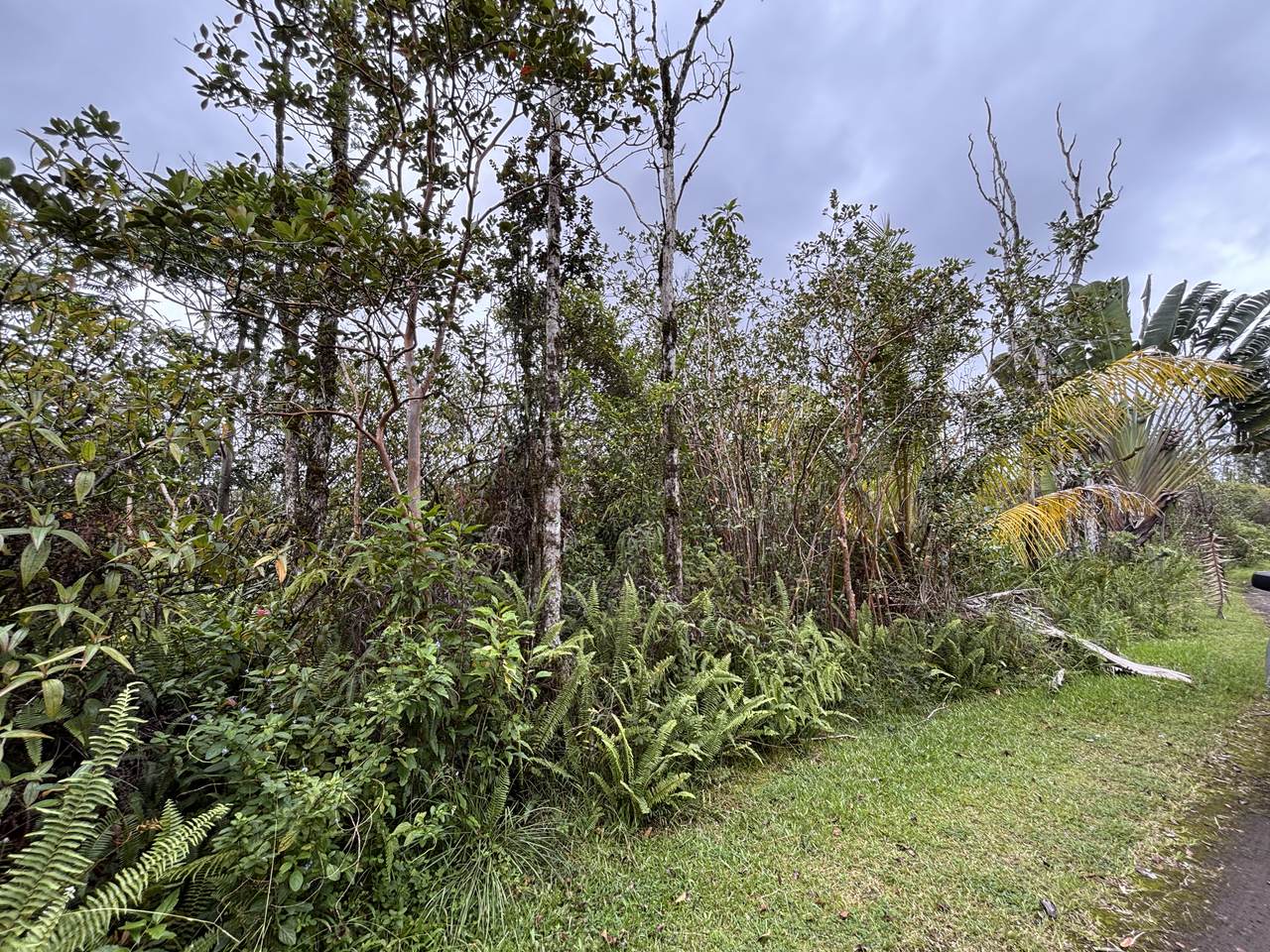 https://bt-photos.global.ssl.fastly.net/hawaii/1280_boomver_1_733315-1.jpg