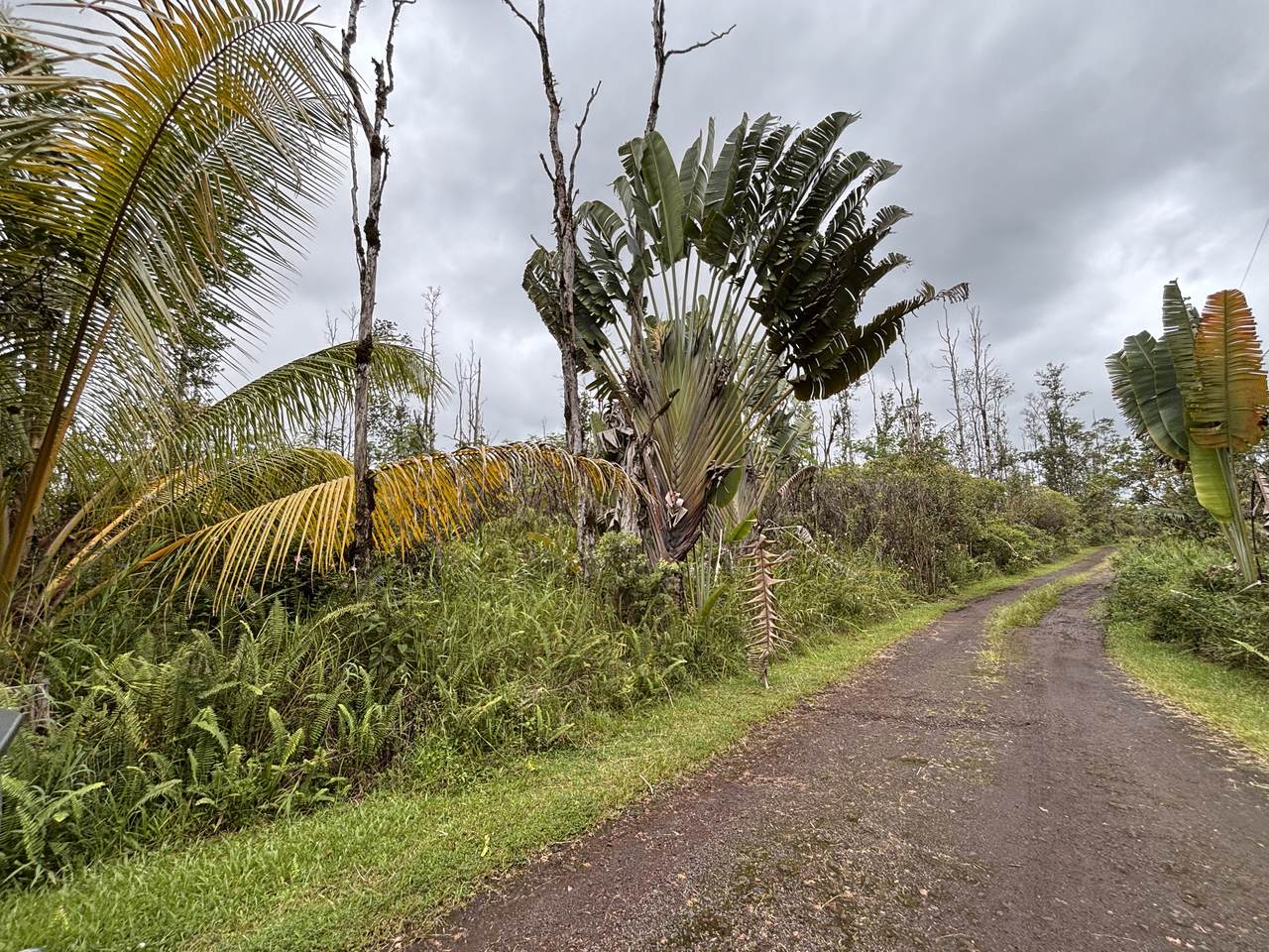  King Kamehameha Blvd - Photo 1