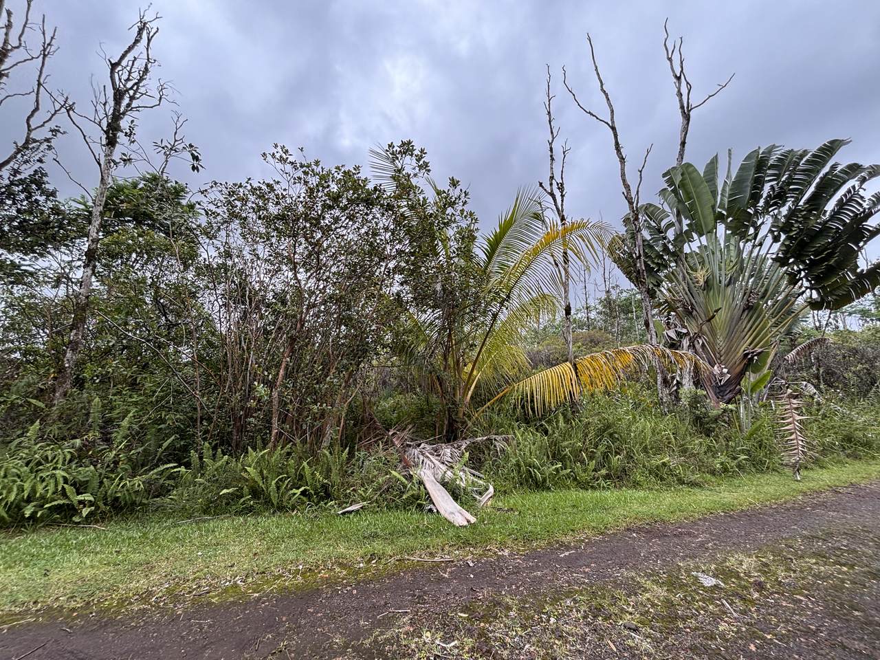 https://bt-photos.global.ssl.fastly.net/hawaii/1280_boomver_1_733457-1.jpg