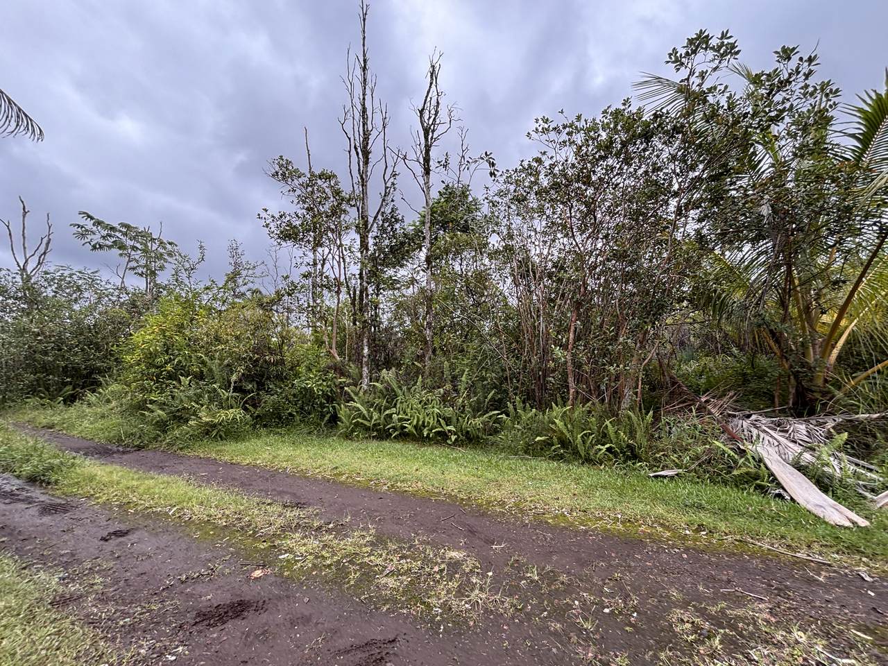 https://bt-photos.global.ssl.fastly.net/hawaii/1280_boomver_1_733457-1.jpg