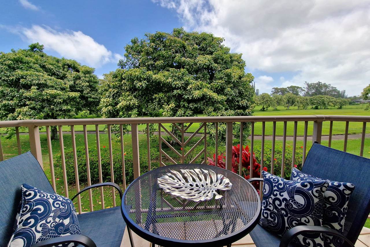 4141 Lei O Papa Rd - Photo 1