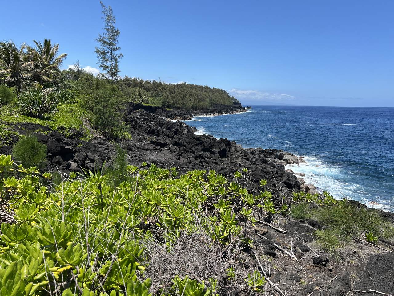  Government Beach Rd - Photo 1
