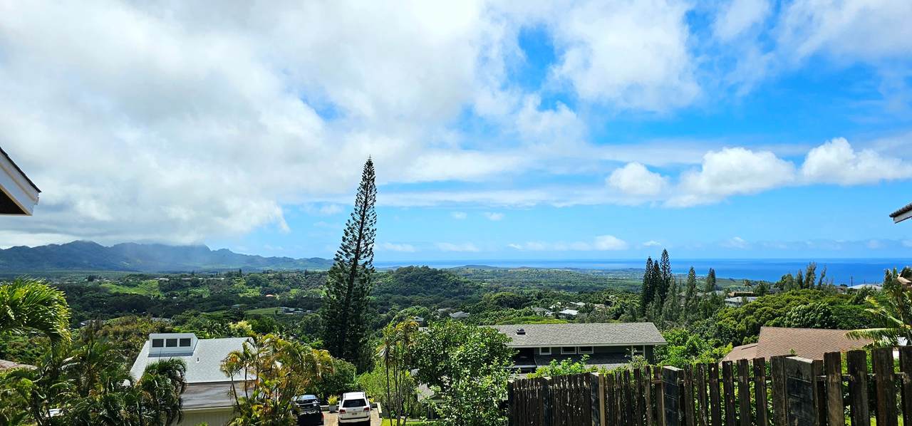 4295 Kalaheo Dr - Photo 1