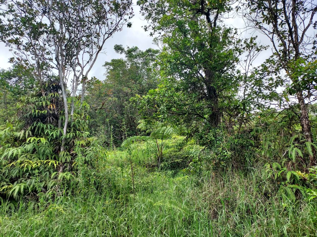 18-2300 Road 9 - Photo 1