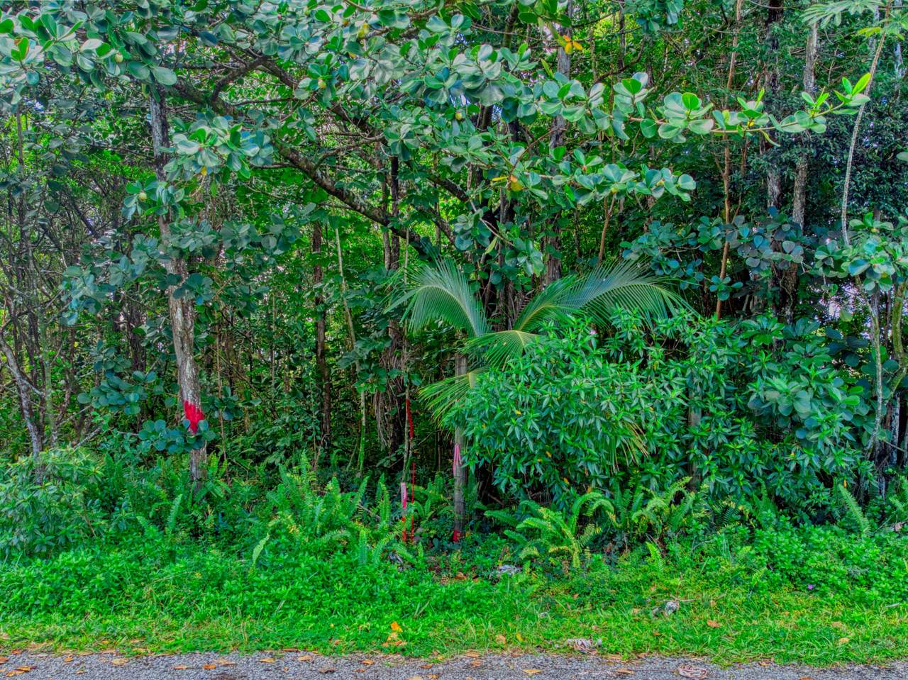 https://bt-photos.global.ssl.fastly.net/hawaii/1280_boomver_2_717509-1.jpg