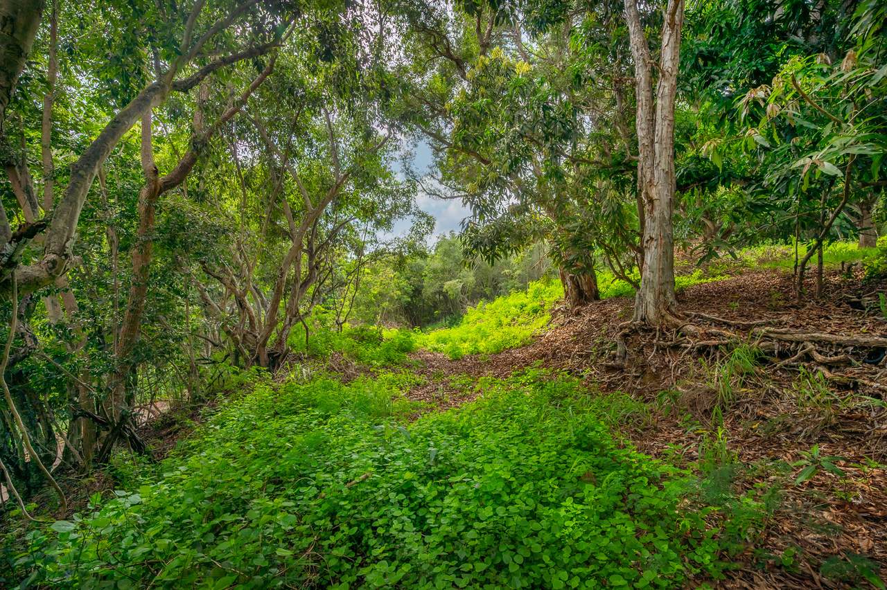 https://bt-photos.global.ssl.fastly.net/hawaii/1280_boomver_2_718282-1.jpg