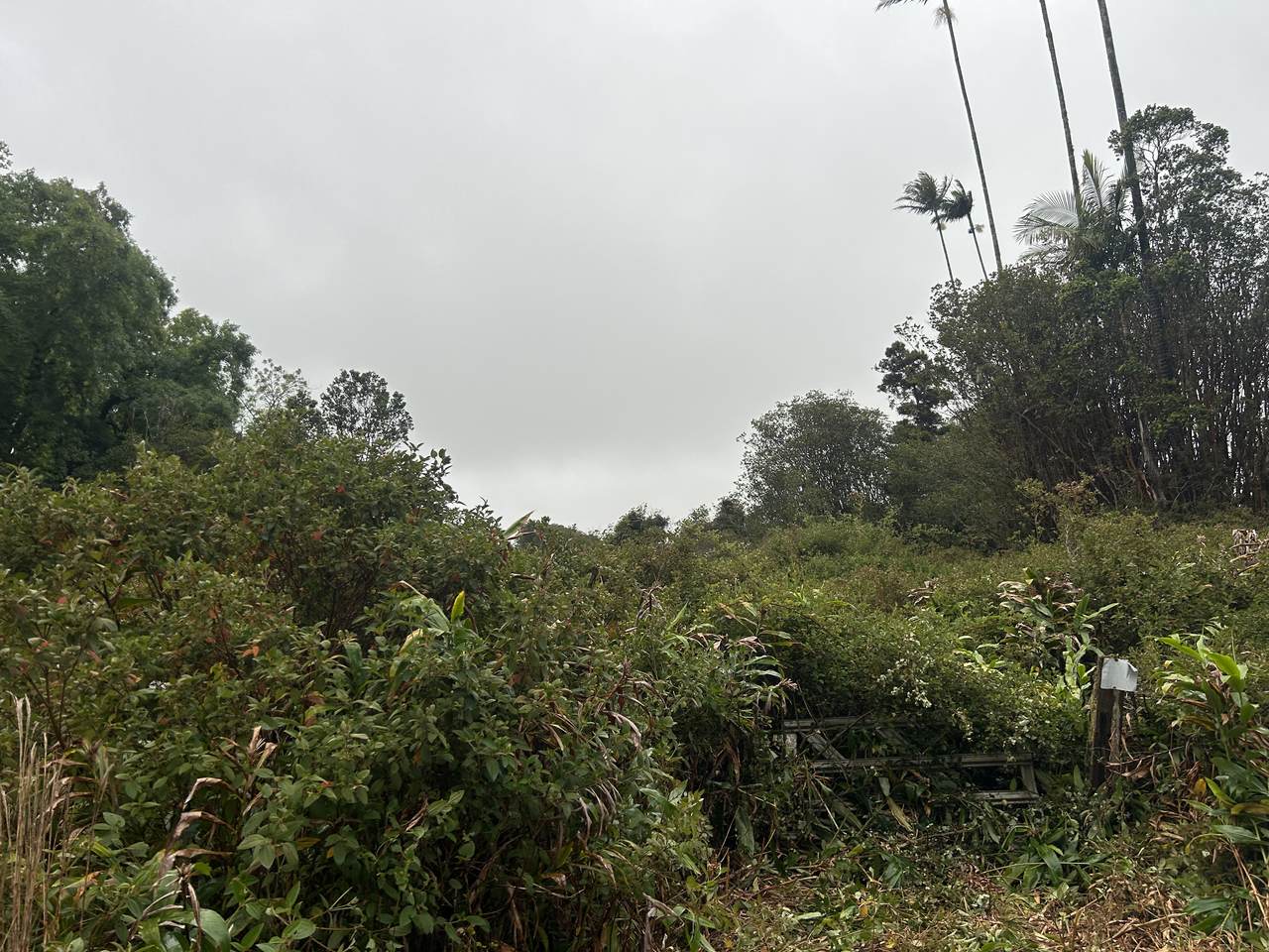 https://bt-photos.global.ssl.fastly.net/hawaii/orig_boomver_1_718402-2.jpg