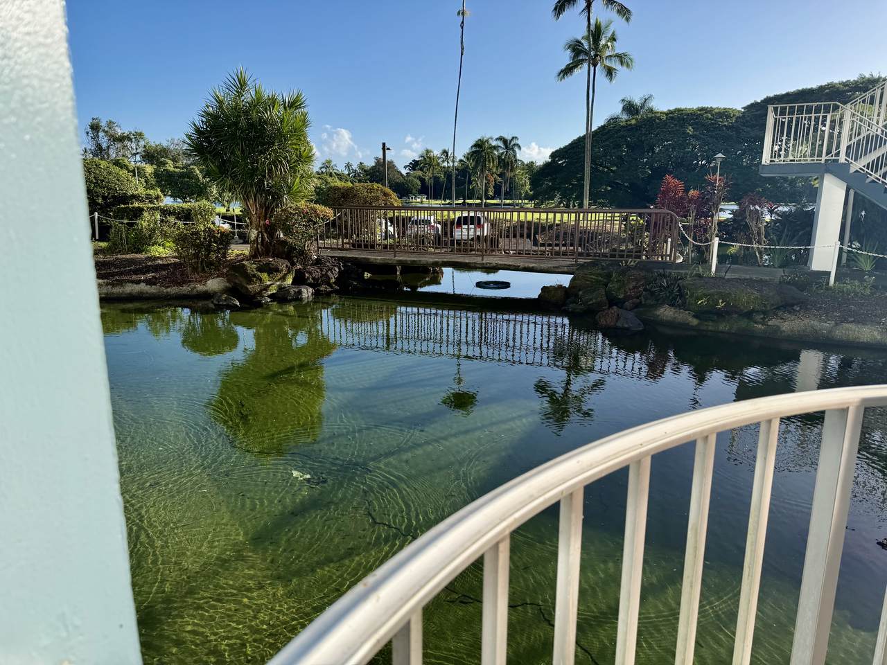 https://bt-photos.global.ssl.fastly.net/hawaii/1280_boomver_2_719083-2.jpg