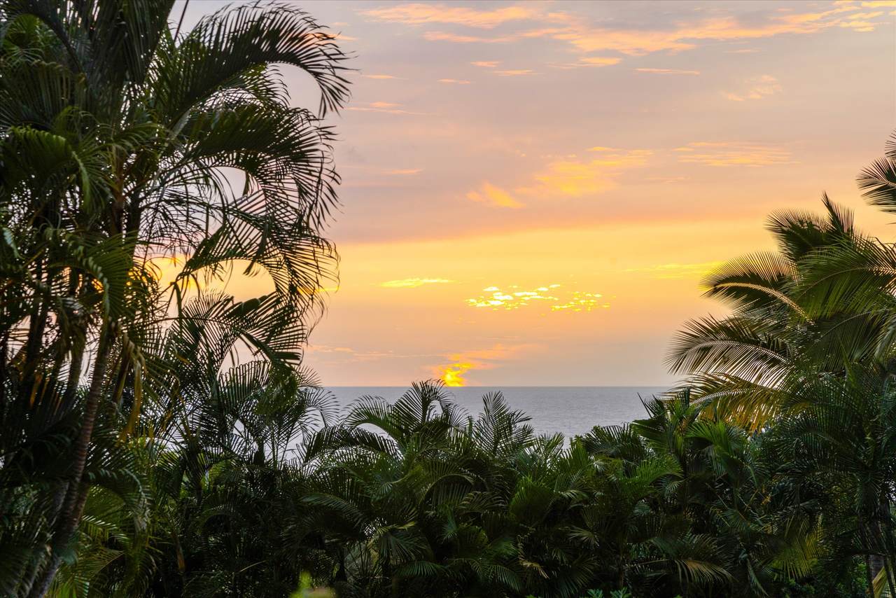 https://bt-photos.global.ssl.fastly.net/hawaii/1280_boomver_2_719297-2.jpg